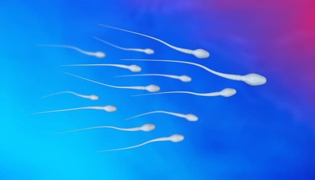 Tinh Trùng Loãng: Nguyên Nhân và Cách Cải Thiện Hiệu Quả